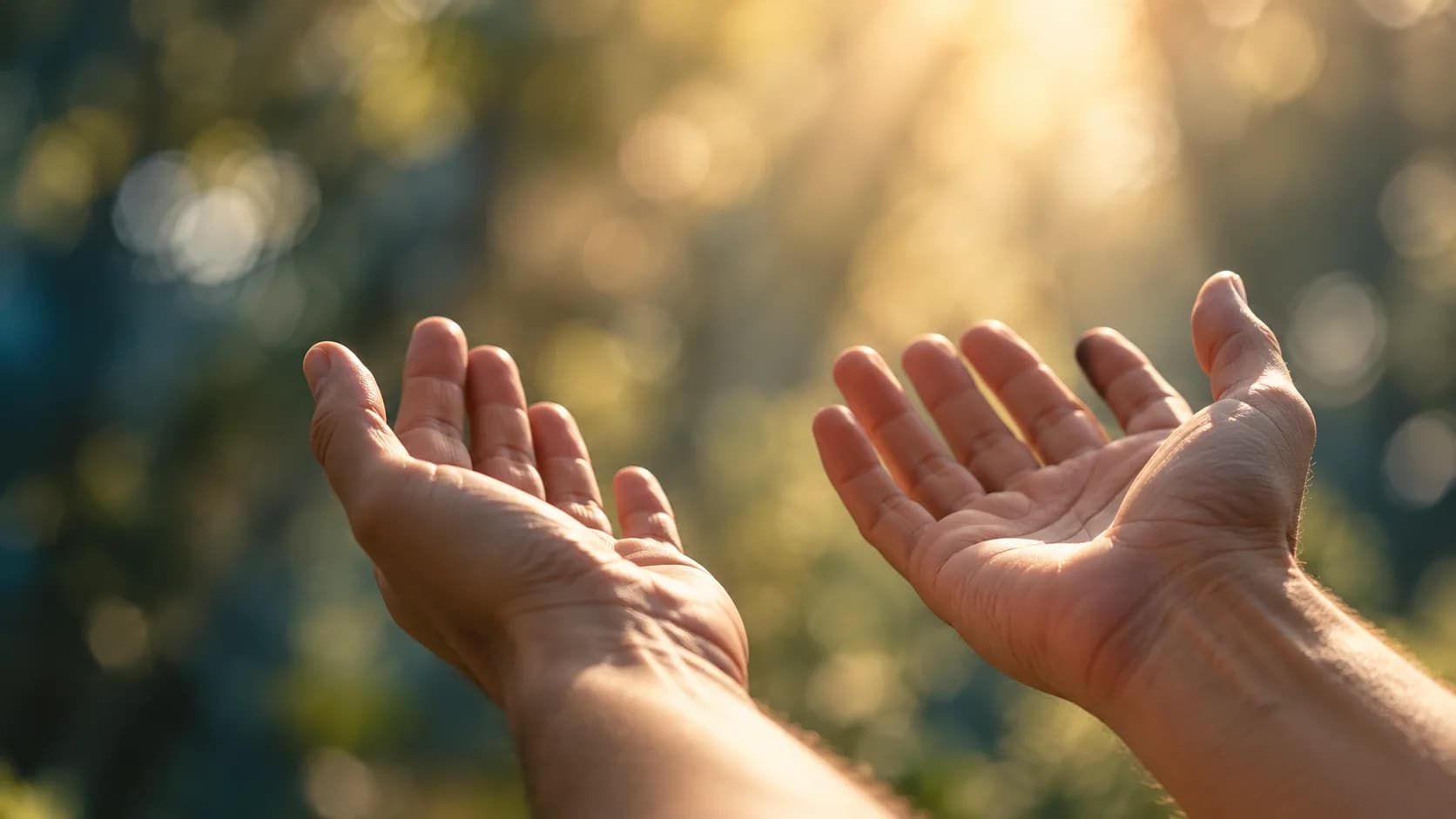 Two open hands raised in warm sunlight